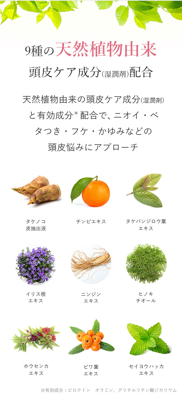 9種の天然植物由来頭皮ケア成分(湿潤剤)配合