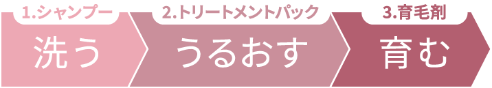 1.シャンプー：洗う / 2.トリートメントパック：うるおす / 3.育毛剤：育む
