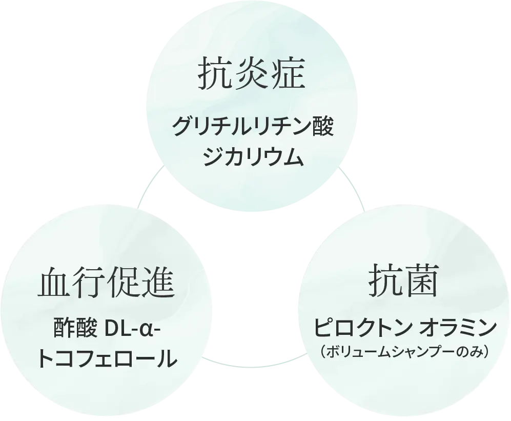 抗炎症・血行促進・抗菌