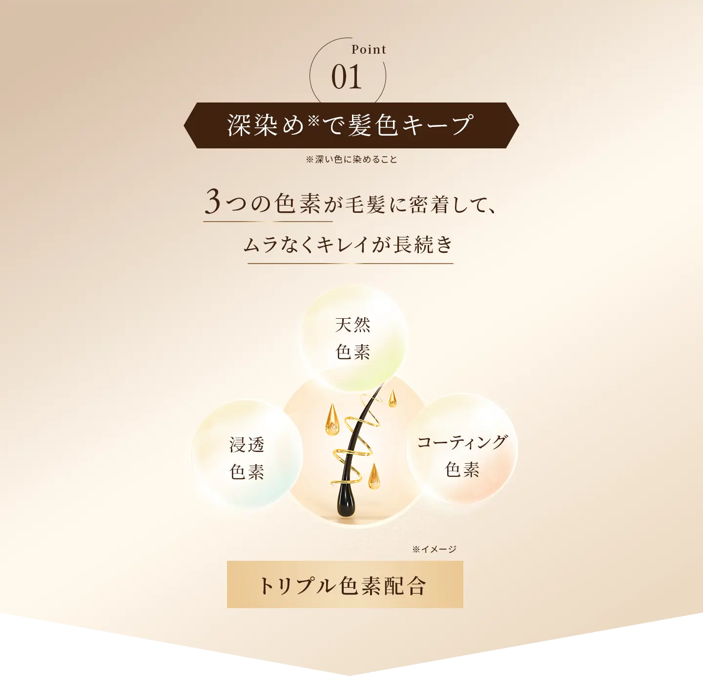 Point01 深染め※で髪色キープ（※深い色に染めること） ３つの色素（天然色素、浸透色素、コーティング色素のトリプル色素配合）が毛髪に密着して、ムラなくキレイが長続き