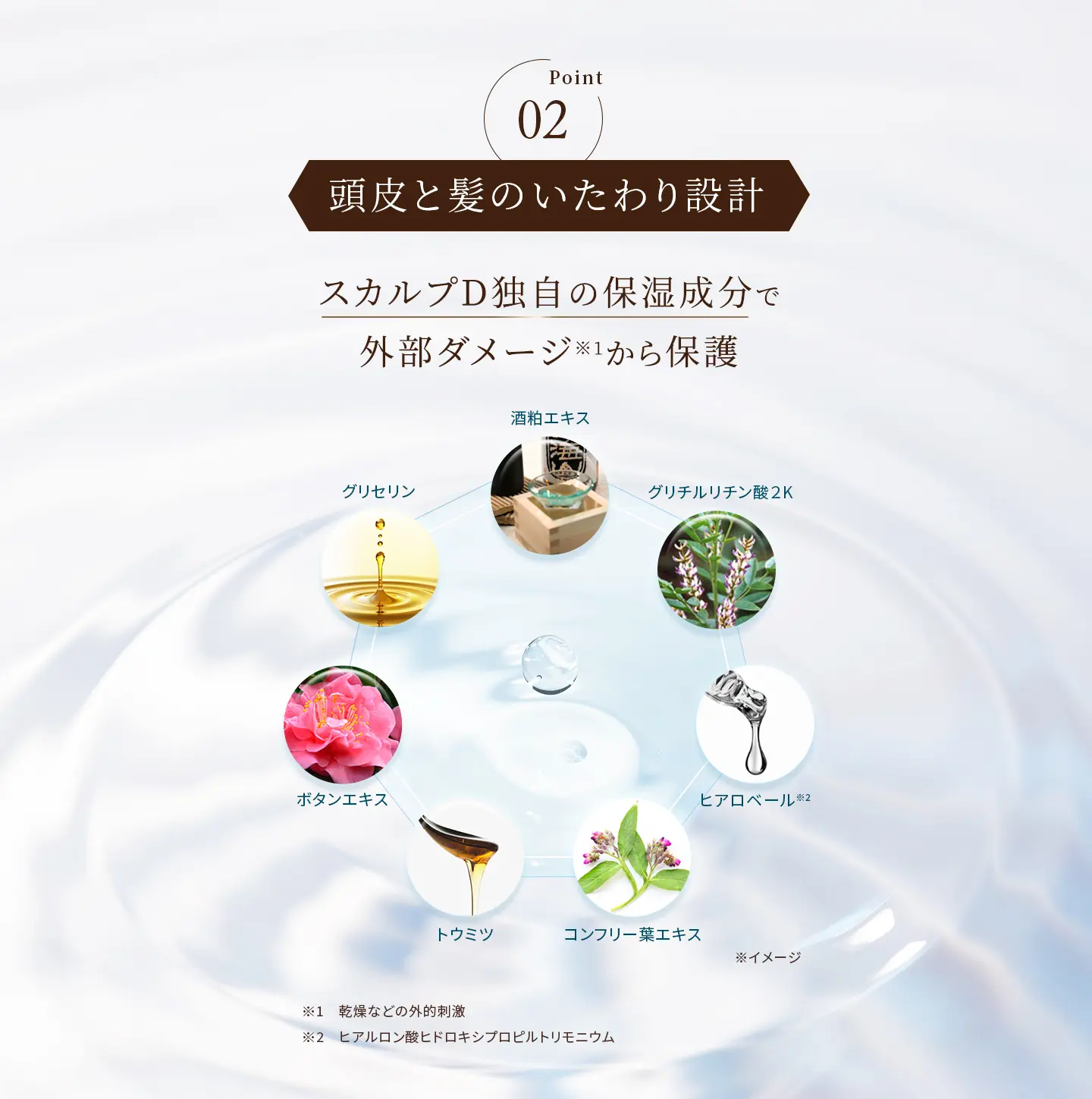 Point02 頭皮と髪のいたわり設計 スカルプD独自の保湿成分で外部ダメージ※1から保護 スカルプD独自の保湿成分：酒粕エキス、グリチルリチン酸２K、ヒアロベール※2、コンフリー葉エキス、トウミツ、ボタンエキス、グリセリン ※1 乾燥などの外的刺激 ※2 ヒアルロン酸ヒドロキシプロピルトリモニウム