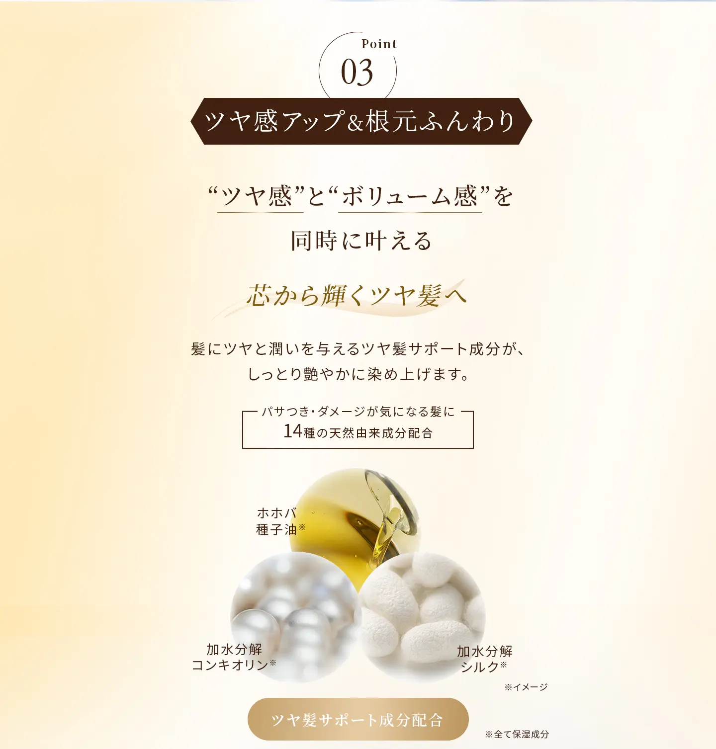 Point03 ツヤ感アップ＆根元ふんわり “ツヤ感”と“ボリューム感”を同時に叶える芯から輝くツヤ髪へ 髪にツヤと潤いを与えるツヤ髪サポート成分が、しっとり艶やかに染め上げます。 パサつき・ダメージが気になる髪に14種の天然由来成分配合 ツヤ髪サポート成分配合：ホホバ種子油※、加水分解コンキオリン※、加水分解シルク※ 、※全て保湿成分