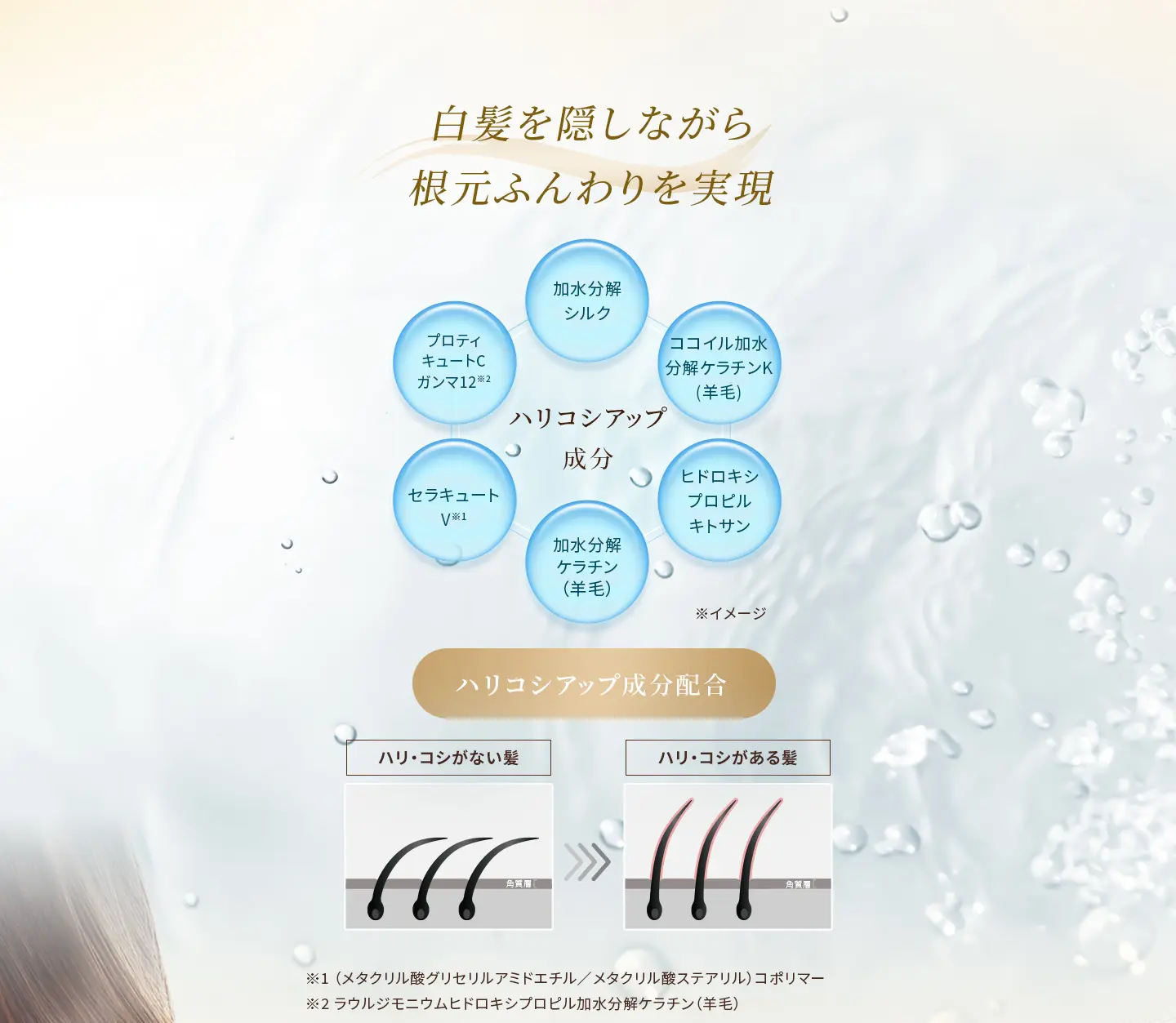 白髪を隠しながら根元ふんわりを実現 ハリコシアップ成分：加水分解シルク、ココイル加水分解ケラチンK(羊毛)、ヒドロキシプロピルキトサン、加水分解ケラチン（羊毛）、セラキュートV※1、プロティキュートCガンマ12※2 ※1 （メタクリル酸グリセリルアミドエチル／メタクリル酸ステアリル）コポリマー ※2 ラウルジモニウムヒドロキシプロピル加水分解ケラチン（羊毛）