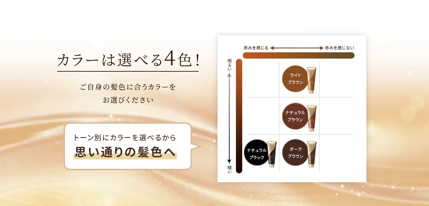 カラーは選べる4色！ご自身の髪色に合うカラーをお選びください カラー：ナチュラルブラック、ダークブラウン、ナチュラルブラウン、ライトブラウン トーン別にカラーを選べるから思い通りの髪色へ