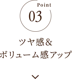 Point03 ツヤ感＆ボリューム感アップ