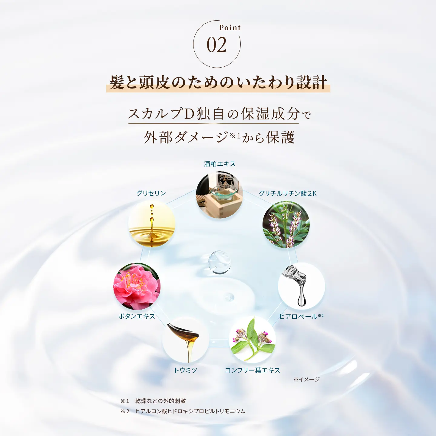 Point02 髪と頭皮のためのいたわり設計 スカルプD独自の保湿成分で外部ダメージ※1から保護 スカルプD独自の保湿成分：酒粕エキス、グリチルリチン酸２K、ヒアロベール※2、コンフリー葉エキス、トウミツ、ボタンエキス、グリセリン ※1 乾燥などの外的刺激 ※2 ヒアルロン酸ヒドロキシプロピルトリモニウム