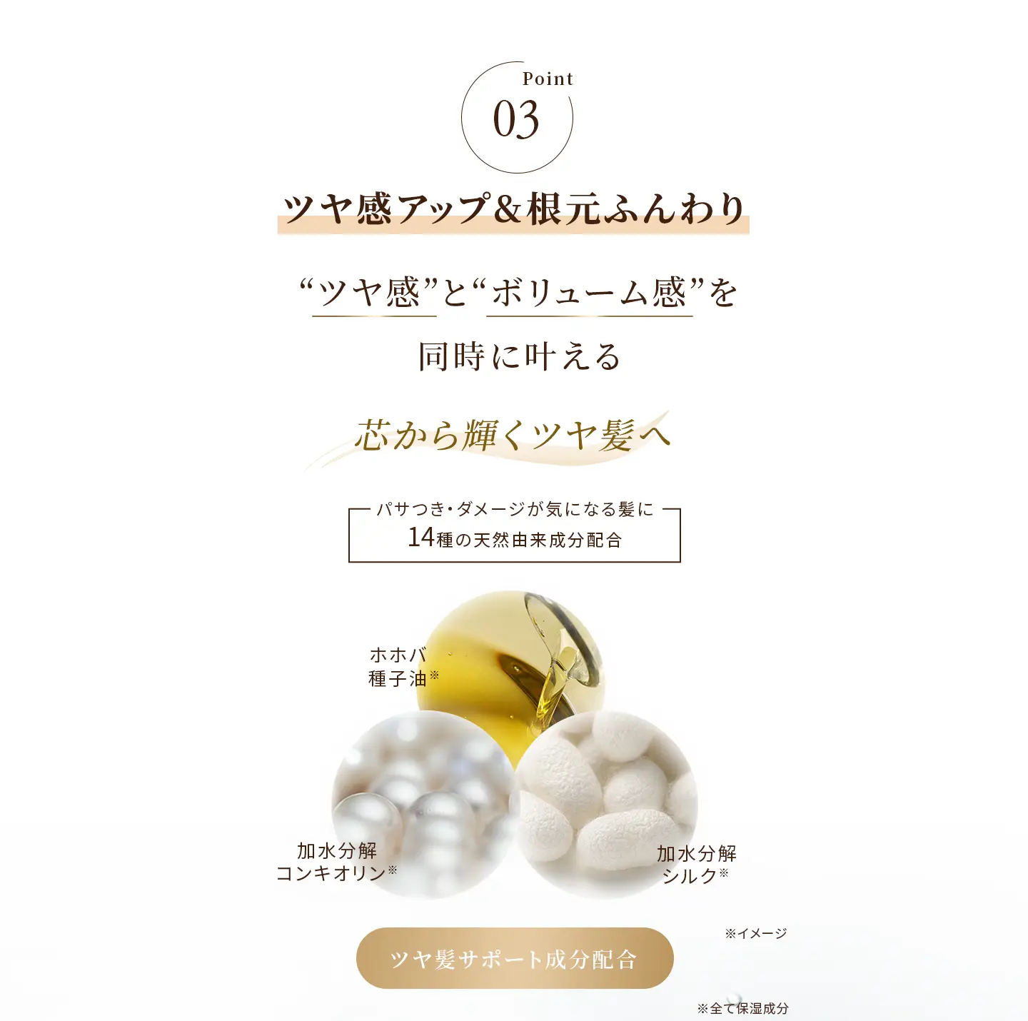 Point03 ツヤ感アップ&根元ふんわり “ツヤ感”と“ボリューム感”を同時に叶える 芯から輝くツヤ髪へ パサつき・ダメージが気になる髪に14種の天然由来成分配合 ツヤ髪サポート成分配合：ホホバ種子油※、加水分解コンキオリン※、加水分解シルク※  ※全て保湿成分