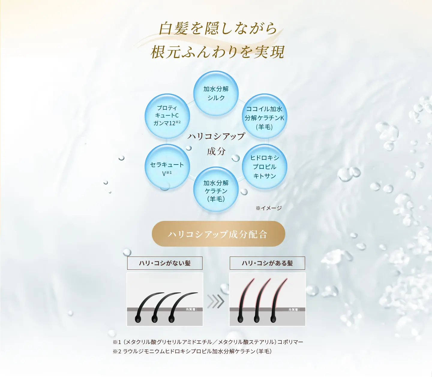 白髪を隠しながら根元ふんわりを実現 ハリコシアップ成分配合：加水分解シルク、ココイル加水分解ケラチンK(羊毛)、ヒドロキシプロピルキトサン、加水分解ケラチン（羊毛）、セラキュートV※1、プロティキュートCガンマ12※2 ※1 （メタクリル酸グリセリルアミドエチル／メタクリル酸ステアリル）コポリマー ※2 ラウルジモニウムヒドロキシプロピル加水分解ケラチン（羊毛）