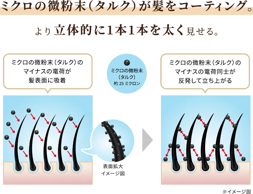 ミクロの微粉末（タルク）が髪をコーティング。より立体的に1本1本を太く見せる。 ミクロの微粉末（タルク）のマイナスの電荷が髪表面に吸着 ミクロの微粉末（タルク）のマイナスの電荷同士が反発して立ち上がる