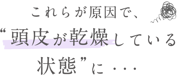 これらが原因で、 “頭皮が乾燥している状態”に・・・