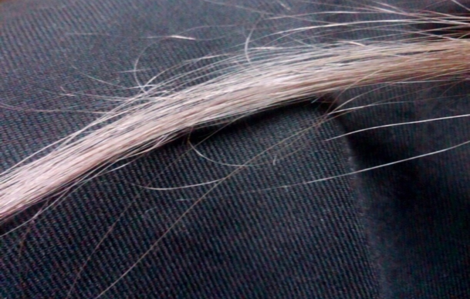 毛先が白くポツポツと点が 毛先が白くなるのは切れ毛のサインって本当ですか スカルプd ボーテ公式サイト アンファー